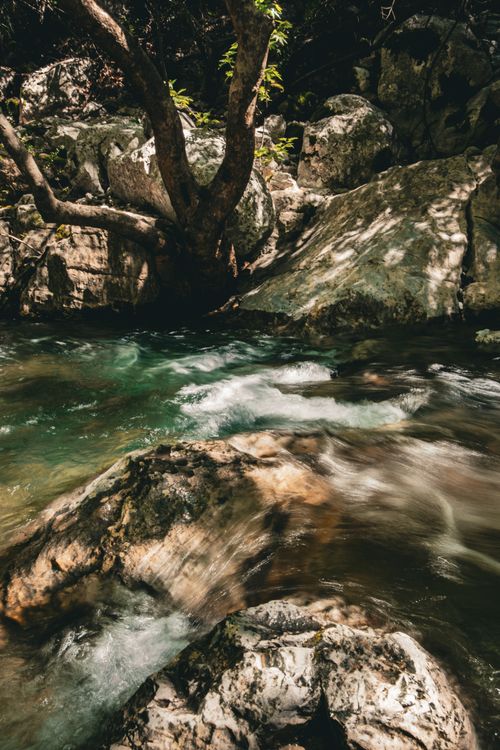 Free Tranquil stream flowing through a rocky forest with natural beauty. Stock Photo