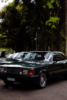 A vintage car parked under lush trees on a shaded path, exuding classic charm.