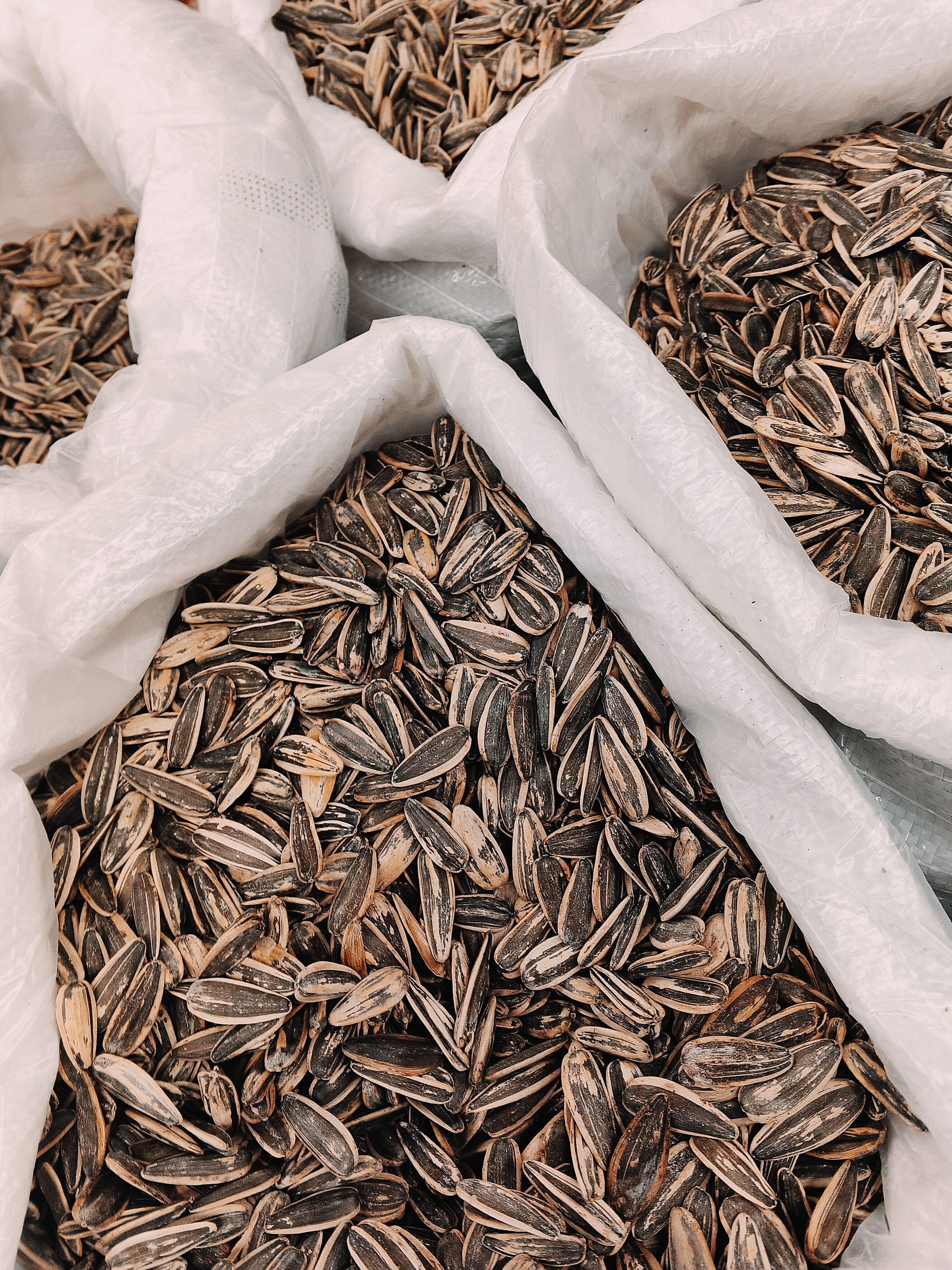 High-quality image of sunflower seeds packaged in large white sacks, ready for distribution.