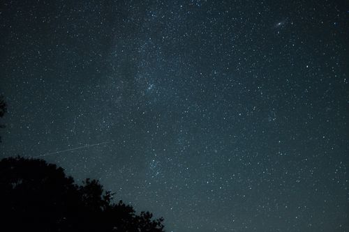 Free A beautiful night sky full of stars captured over the trees in Germany. Stock Photo