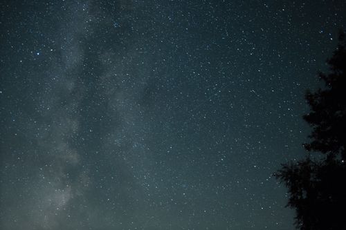 Free Stunning view of a star-filled night sky with the Milky Way visible above a silhouette of trees. Stock Photo