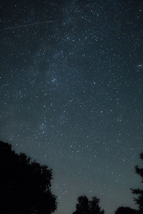 Free A stunning view of a star-filled night sky over Germany, framed by silhouetted trees. Stock Photo