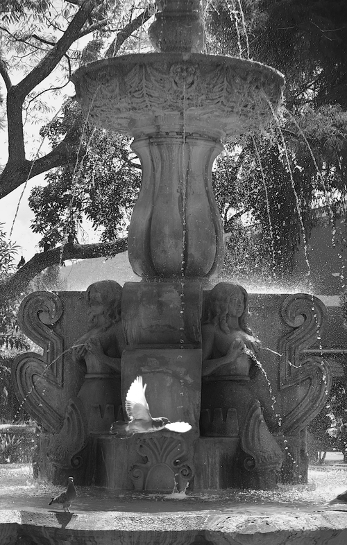 Free stock photo of agua, fountain, fuente Stock Photo