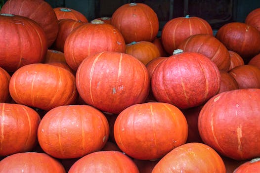 Vibrant orange pumpkins stacked at a market in Bogor, Indonesia. Perfect for autumn-themed designs.