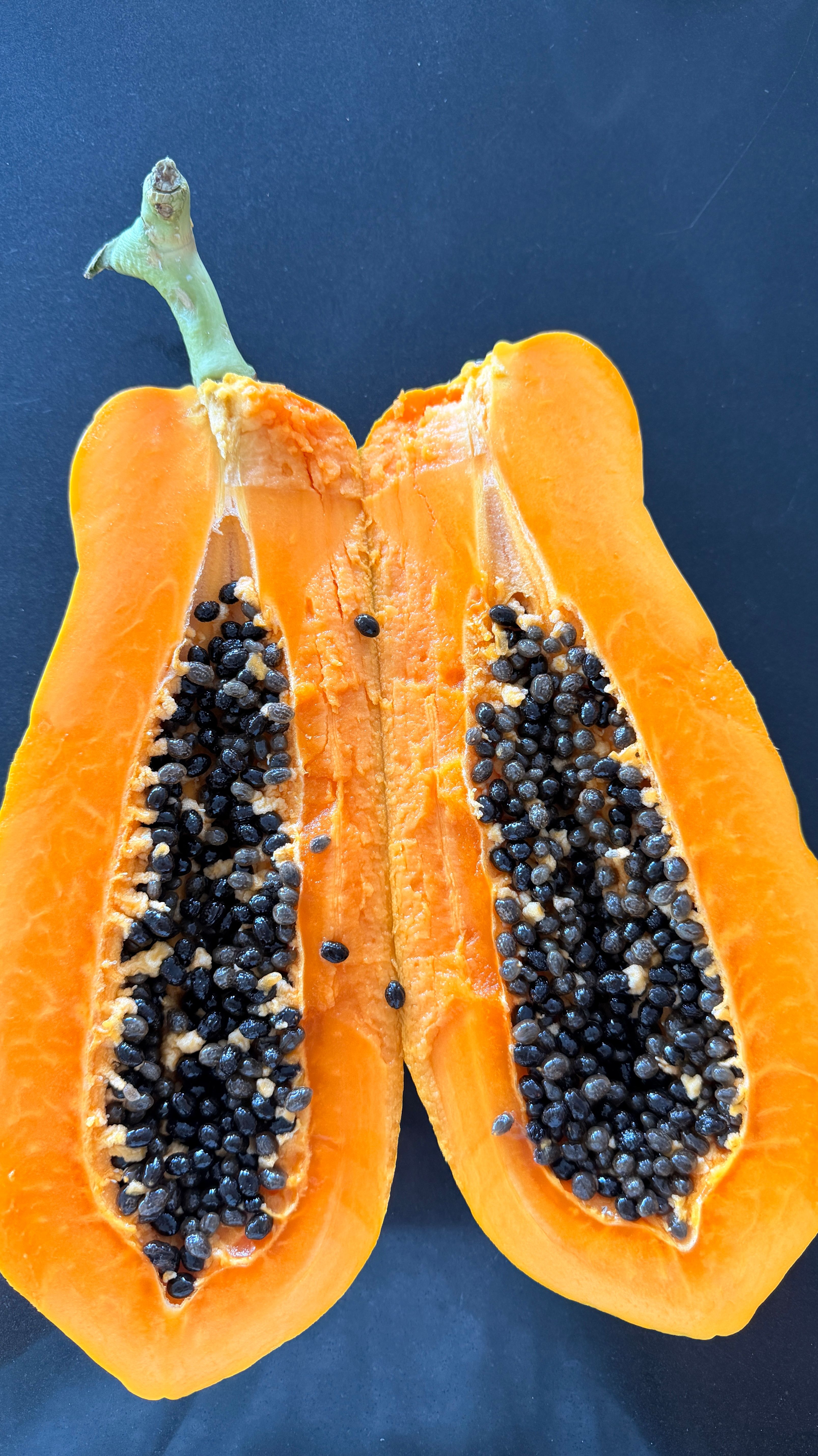Black papaya seeds resembling black pepper, measured for safe daily dosage.