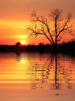 A tranquil sunset over a lake with tree reflections creates a serene and peaceful atmosphere.