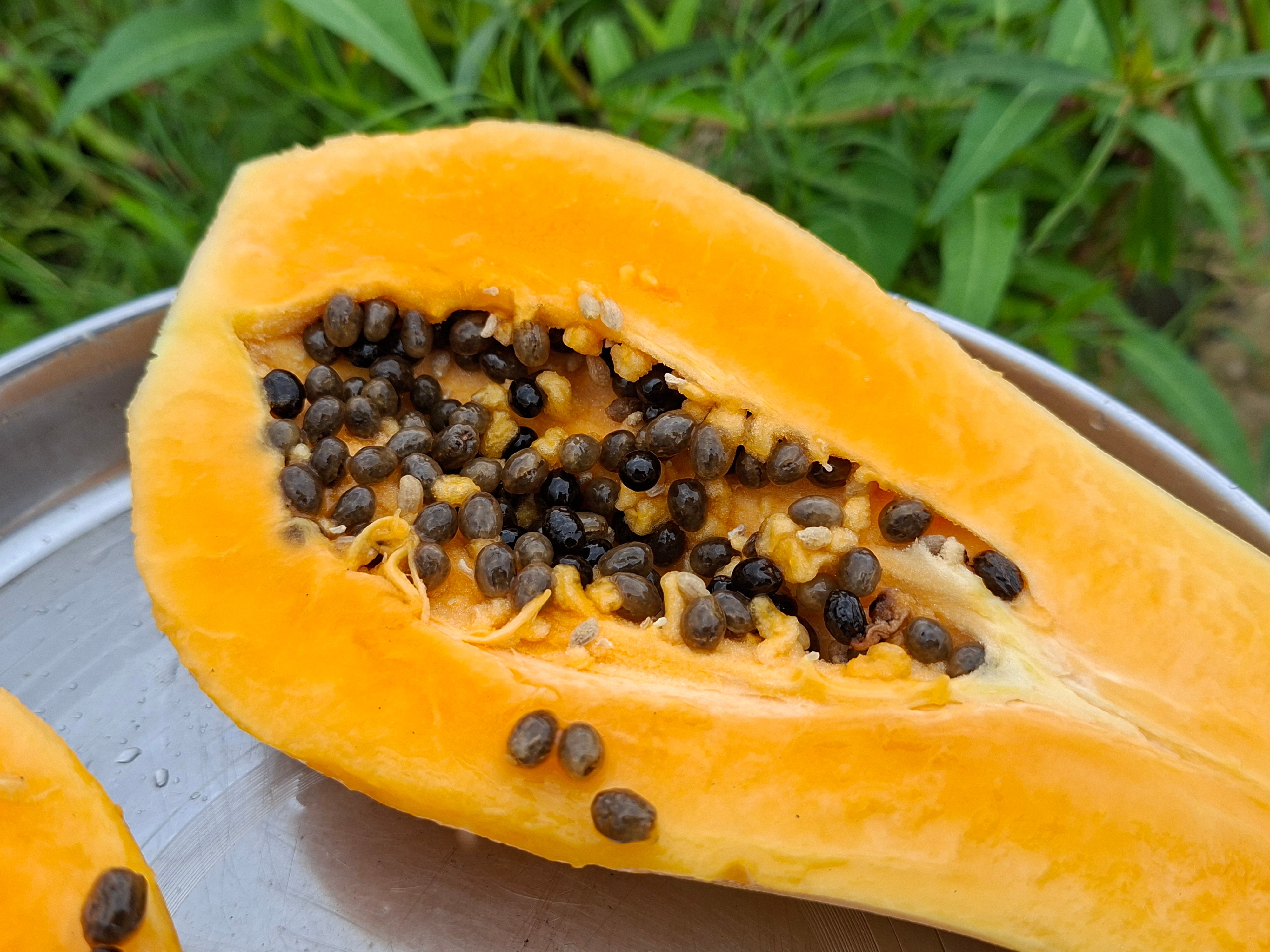Fresh papaya seeds next to black peppercorns for a flavor profile comparison.