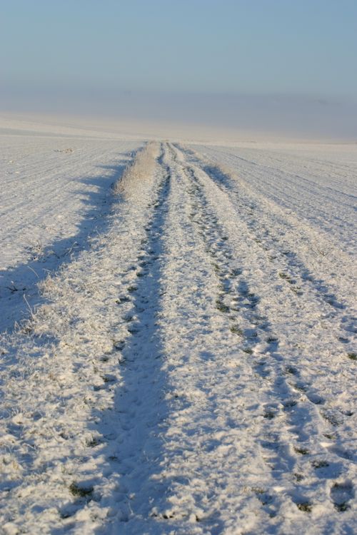 Free Tranquil snow-covered rural path under clear blue sky during winter. Stock Photo