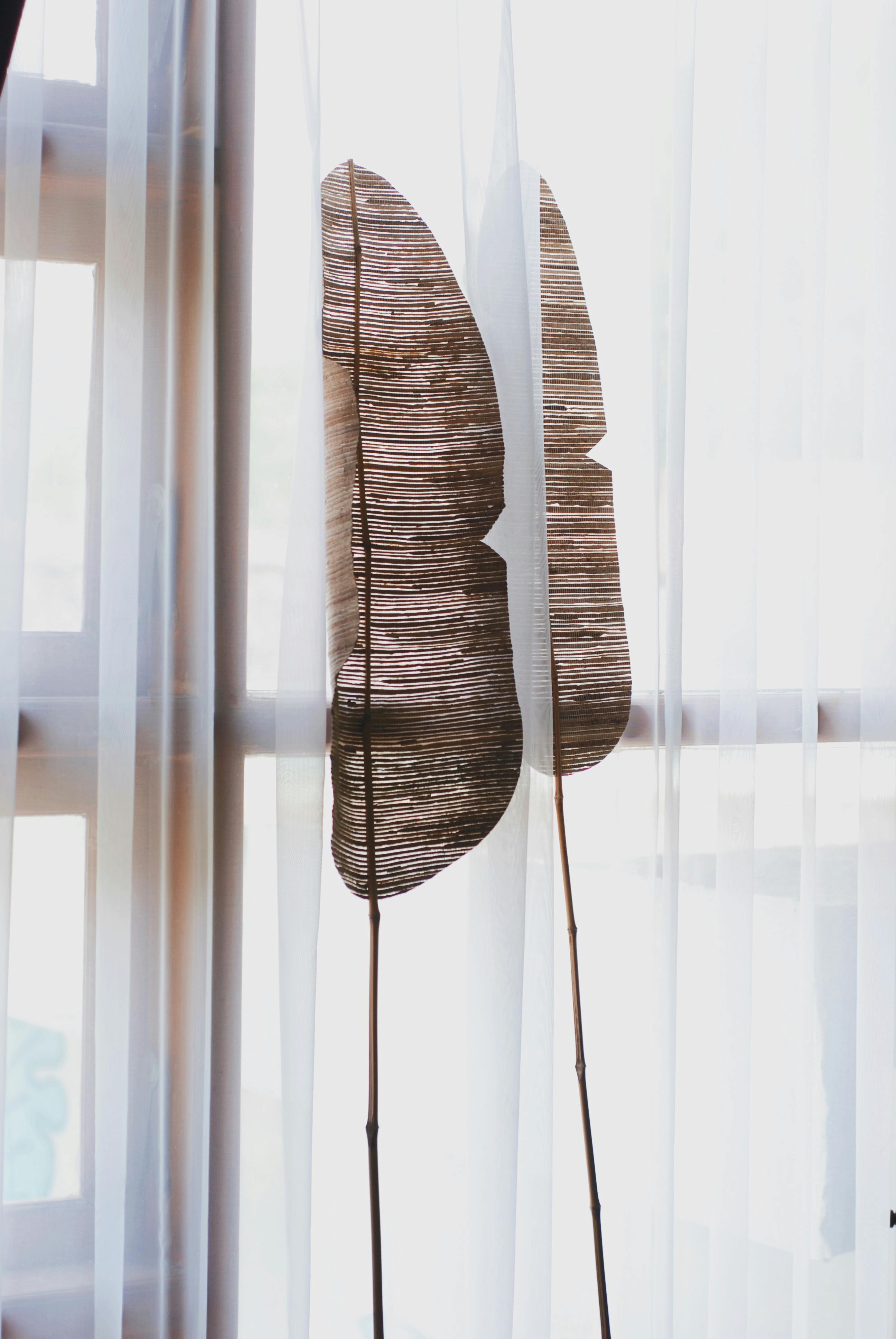 Dry brown feather like plant on windowsill · Free Stock Photo