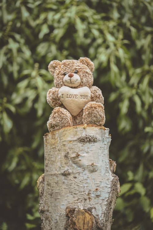 Free Cute teddy bear with 'I Love You' heart on a tree stump against a leafy background. Stock Photo