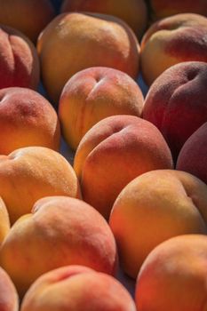 Close-up of fresh ripe peaches with vibrant colors in natural light, perfect for food and harvest themes.