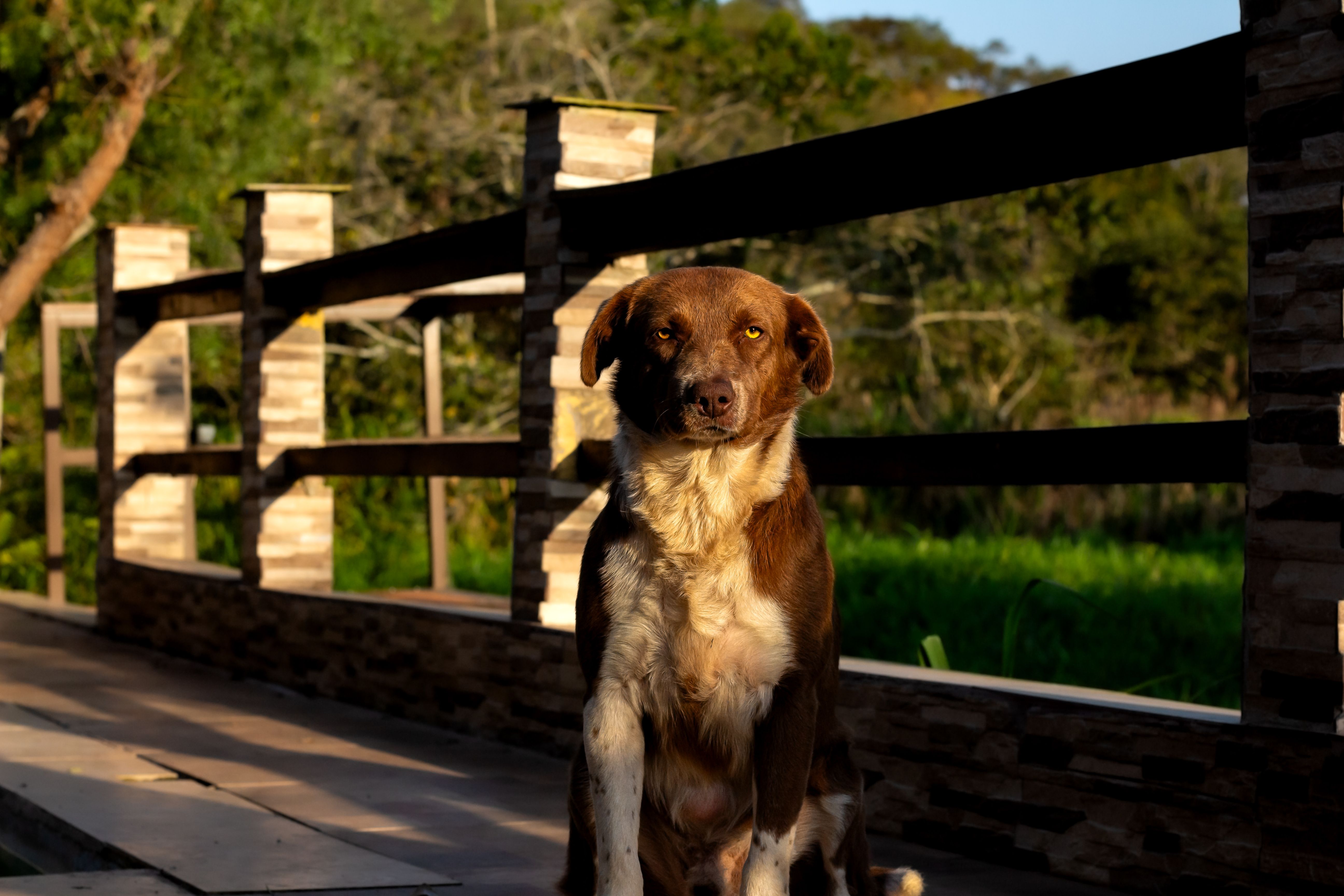 Marty Gleeson: Dog Ear review – hangdog standup with an unexpected request for Santa
