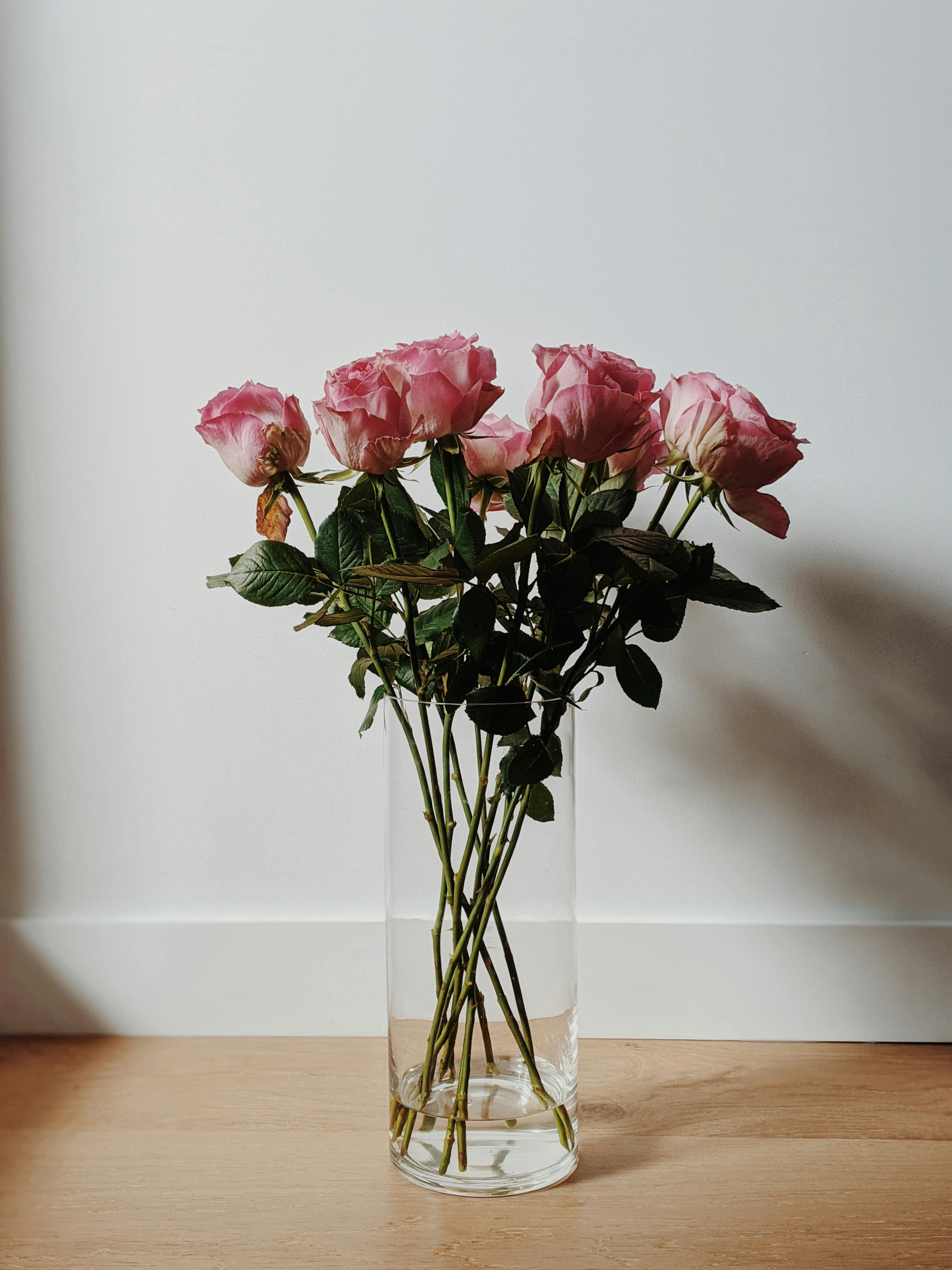 Pink Roses in Clear Glass Vase · Free Stock Photo
