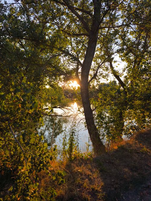 Free Sun setting through trees, casting warm glow over a tranquil river in a forest setting. Stock Photo