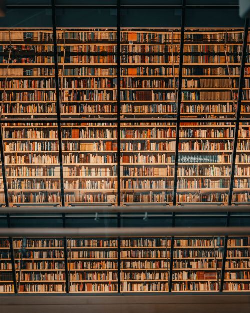 Free Intricate view of book-filled library shelves in Riga, Latvia, showcasing historical and architectural beauty. Stock Photo