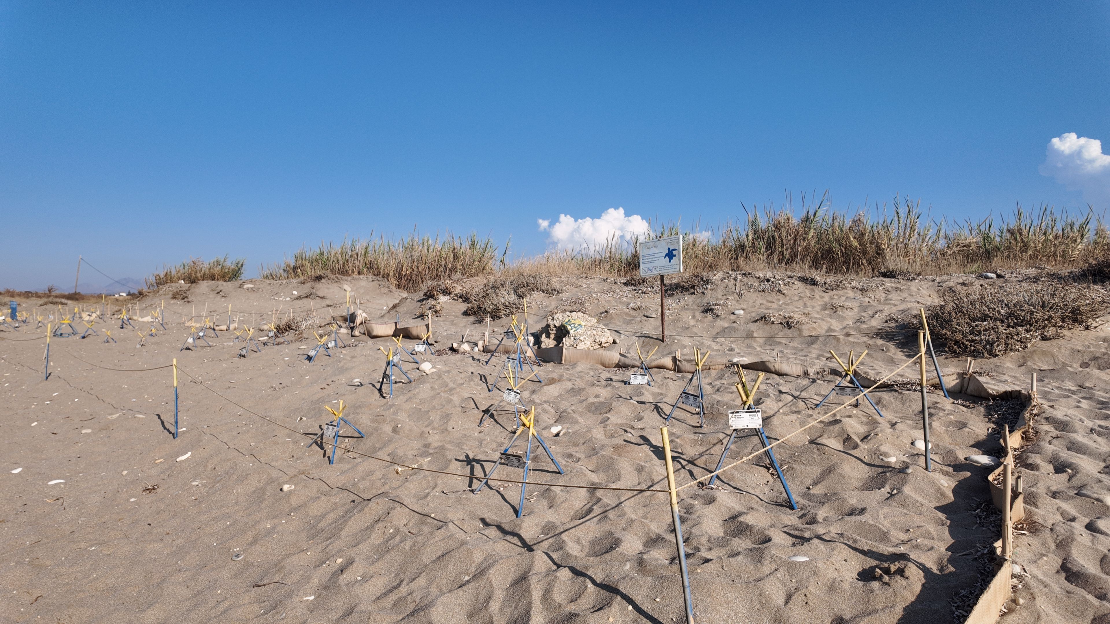 things to do in holden beach