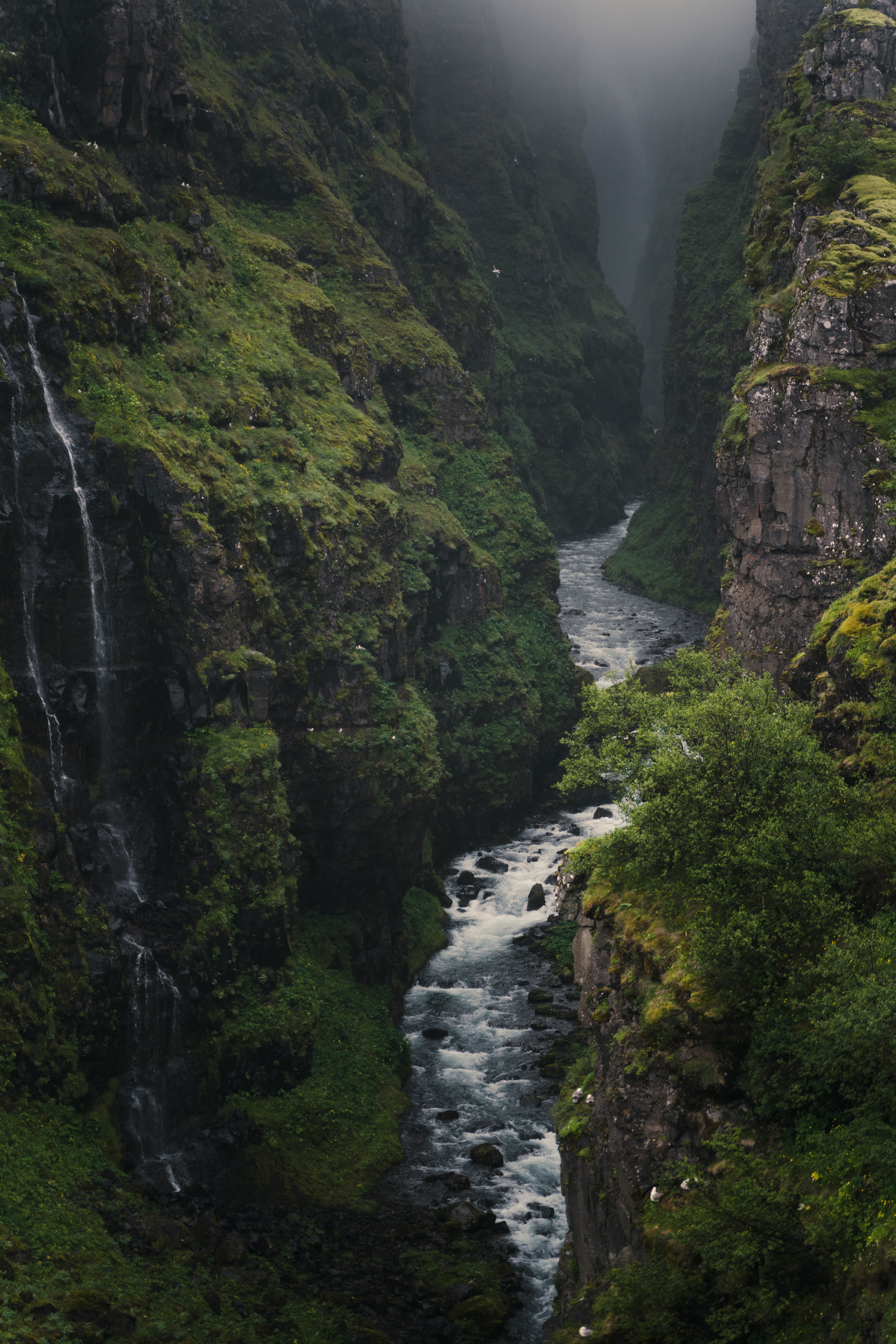 Stunning view of a river flowing through a lush green canyon.