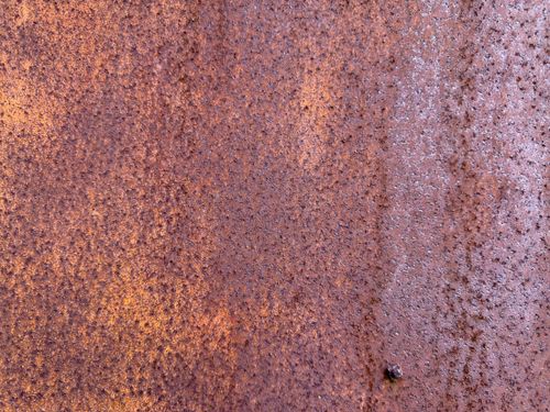 Free stock photo of corrugated, fence, foliage Stock Photo