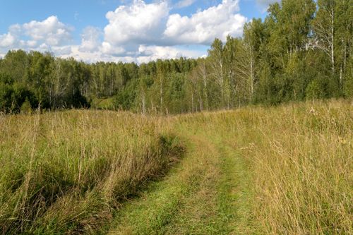 Free Serene autumn landscape with a grassy path through a lush field under a bright cloudy sky. Stock Photo