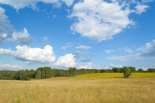 Free A picturesque summer landscape with a vast field under a bright blue sky and fluffy clouds. Stock Photo