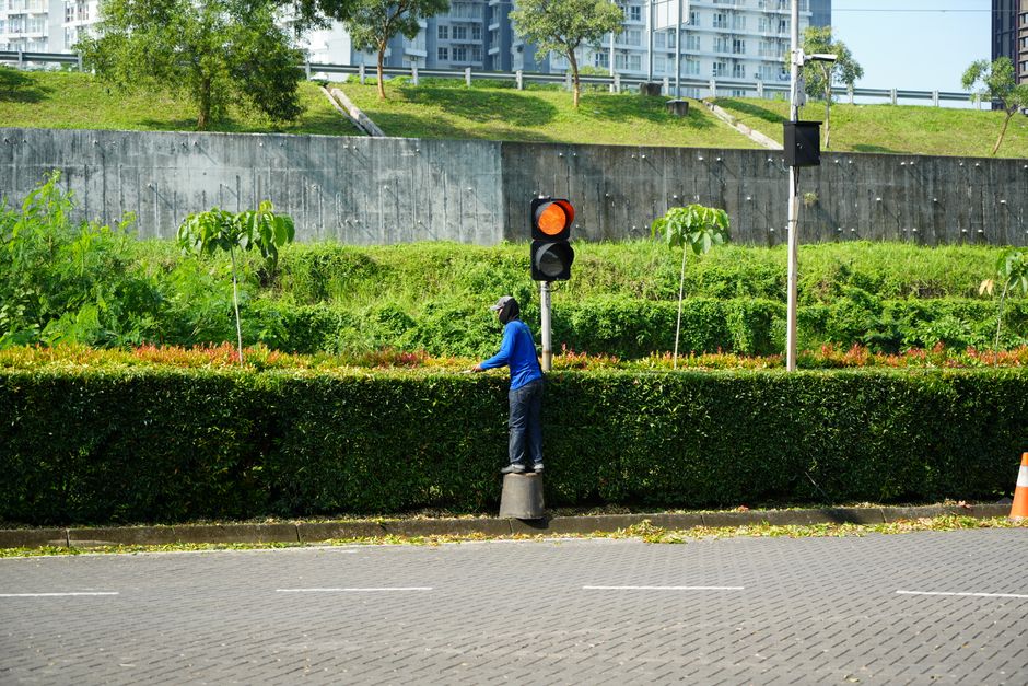 Urban gardener trimming hedges with electric trimmer — how to clean hedge trimmer blades in Surrey BC