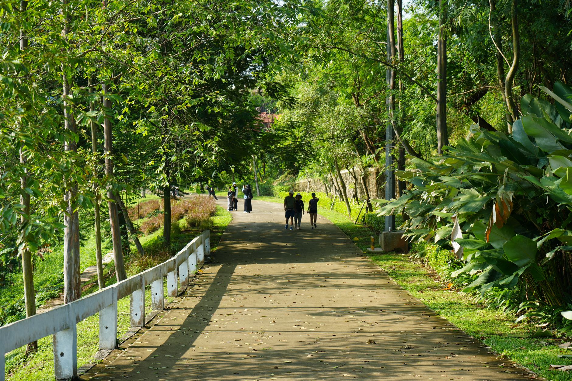 People strolling along a green park path on a sunny day, surrounded by lush trees.