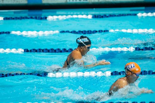 Free Two swimmers compete in a bright indoor swimming pool, showcasing speed and athleticism. Stock Photo