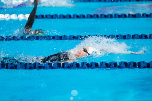 Free Action shot of swimmers racing in a pool during a competitive swimming event. Stock Photo