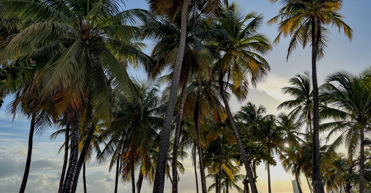 Cayman Islands Food & Dining — Caribbean travel guide