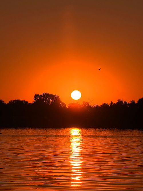Free Stunning sunset casting a warm glow over a serene river, perfect for relaxation themes. Stock Photo