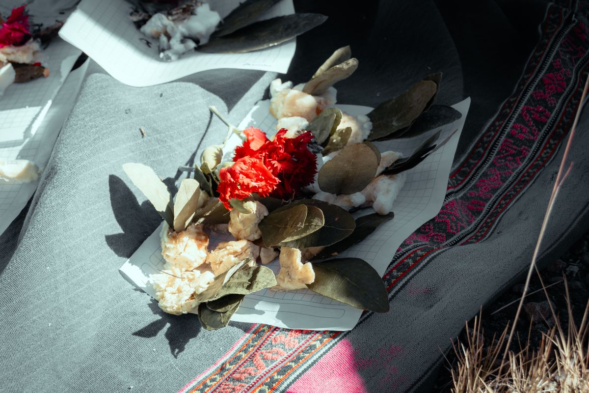 Your hotel in La Paz will hand you a cup before you have unpacked. What coca tea actually is, whether it helps with altitude, why it can fail a drug test, how to chew coca leaves properly and why you should never pack it for the flight home.