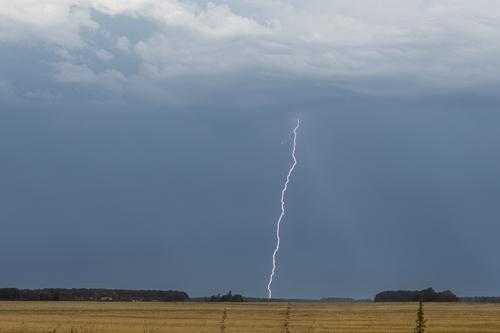 Free Striking lightning bolt during a storm over a vast rural wheat field under cloudy skies. Stock Photo