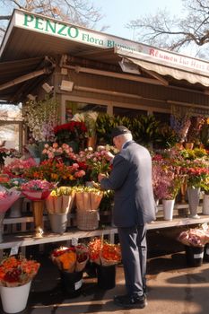 An elderly man browsing a vibrant flower stall in Vienna, Austria. Captures the charm of a traditional flower market.