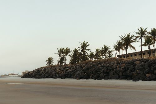 Free Serene tropical beach with palm trees and rocky coast during dusk, showcasing natural beauty. Stock Photo