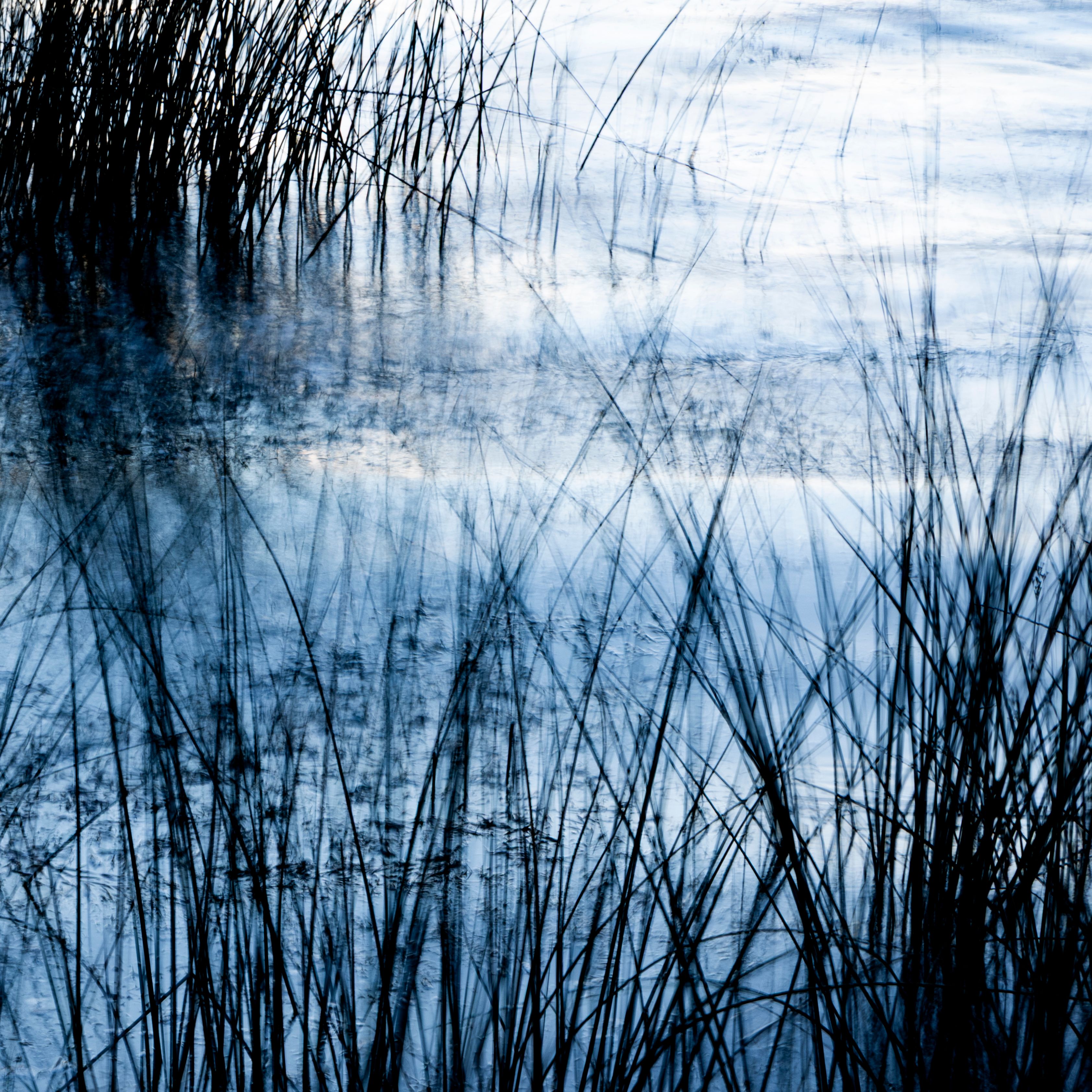 Tranquil twilight scene with reeds reflected in water, creating a moody, serene atmosphere.