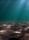 ocean floor