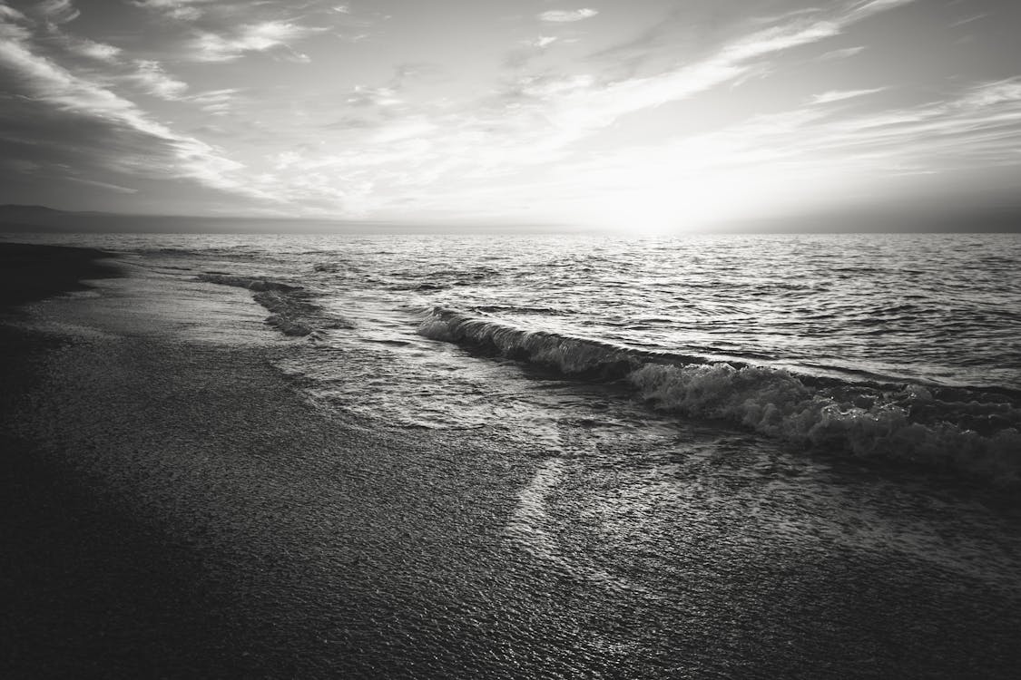 無料 海のグレースケール写真 写真素材