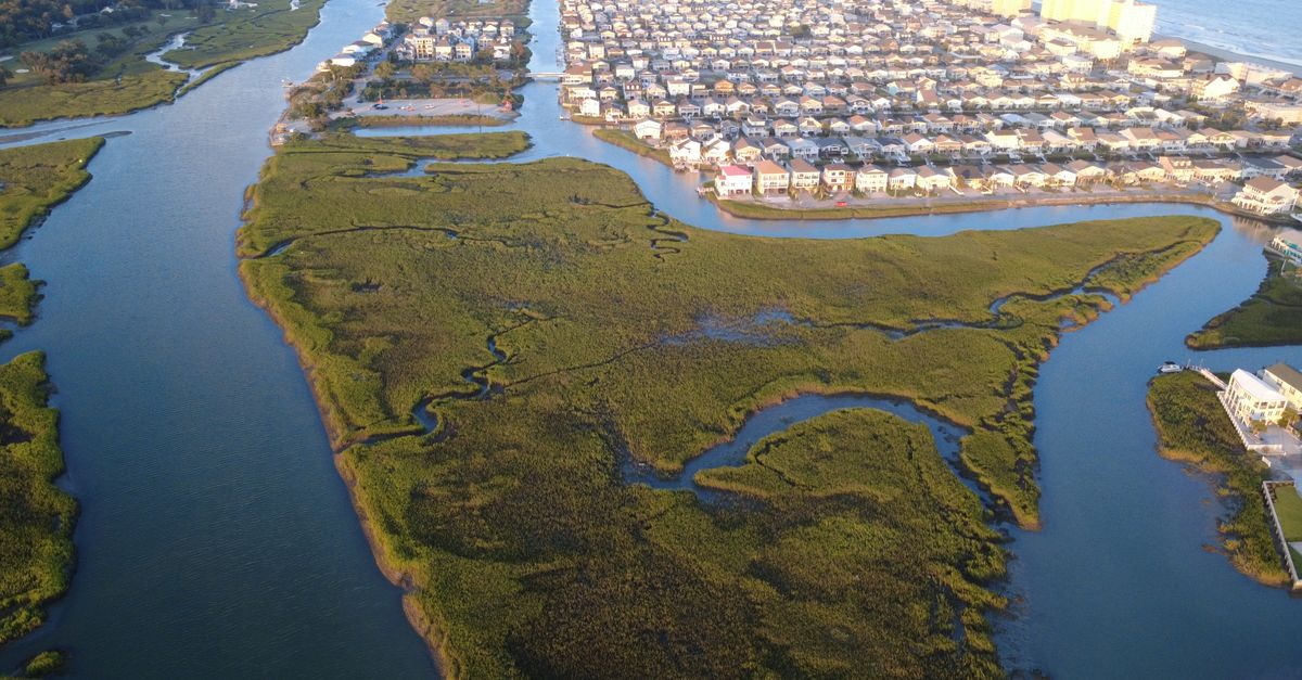 Aerial shot of lush marshlands with nearby residential area and beach.
