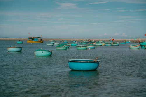 Free Round Vietnamese basket boats float peacefully on a calm beach under a clear blue sky. Stock Photo