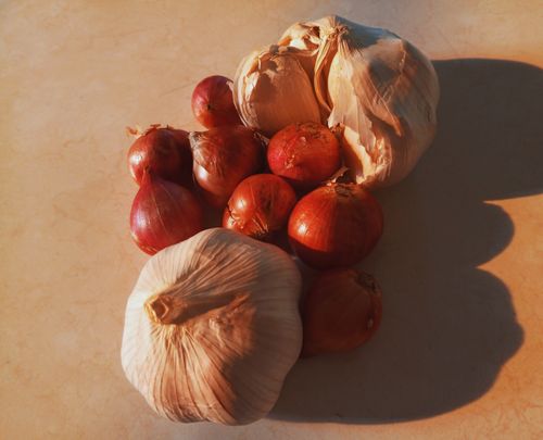 Free Close-up of red onions and garlic bulbs on a sunlit surface, creating warm shadows. Stock Photo