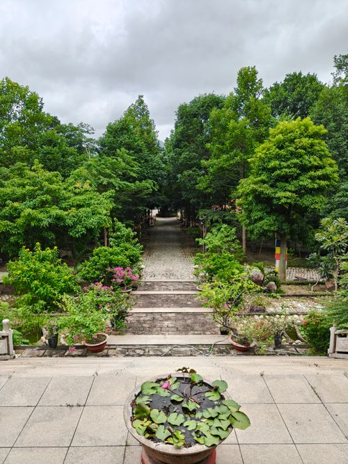 Free A peaceful garden pathway in a lush Vietnamese park, ideal for relaxation and nature walks. Stock Photo