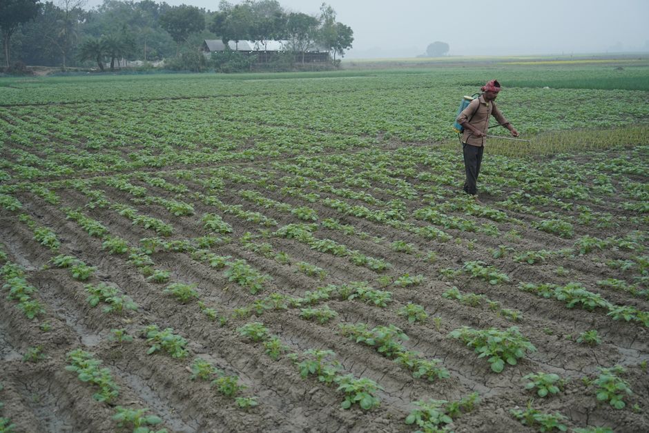 Herbicida Total