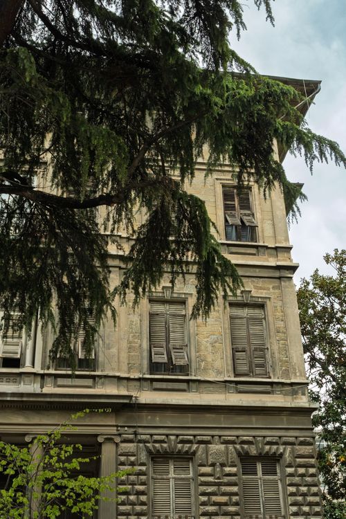 Free An aged building in Istanbul, partially obscured by lush green foliage, evokes a tranquil urban scene. Stock Photo