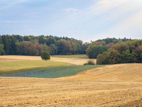 Free Peaceful rural landscape showcasing rolling hills and dense forests in early fall. Stock Photo