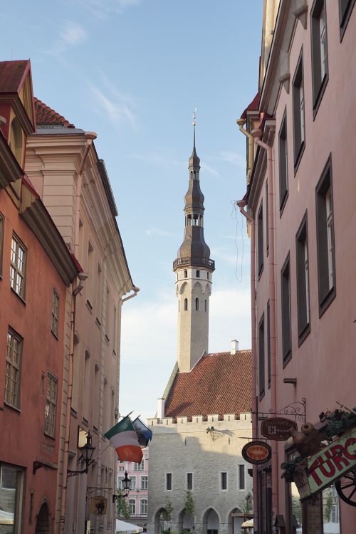 Free Picturesque view of a historic church spire in Tallinn, framed by charming streets. Stock Photo