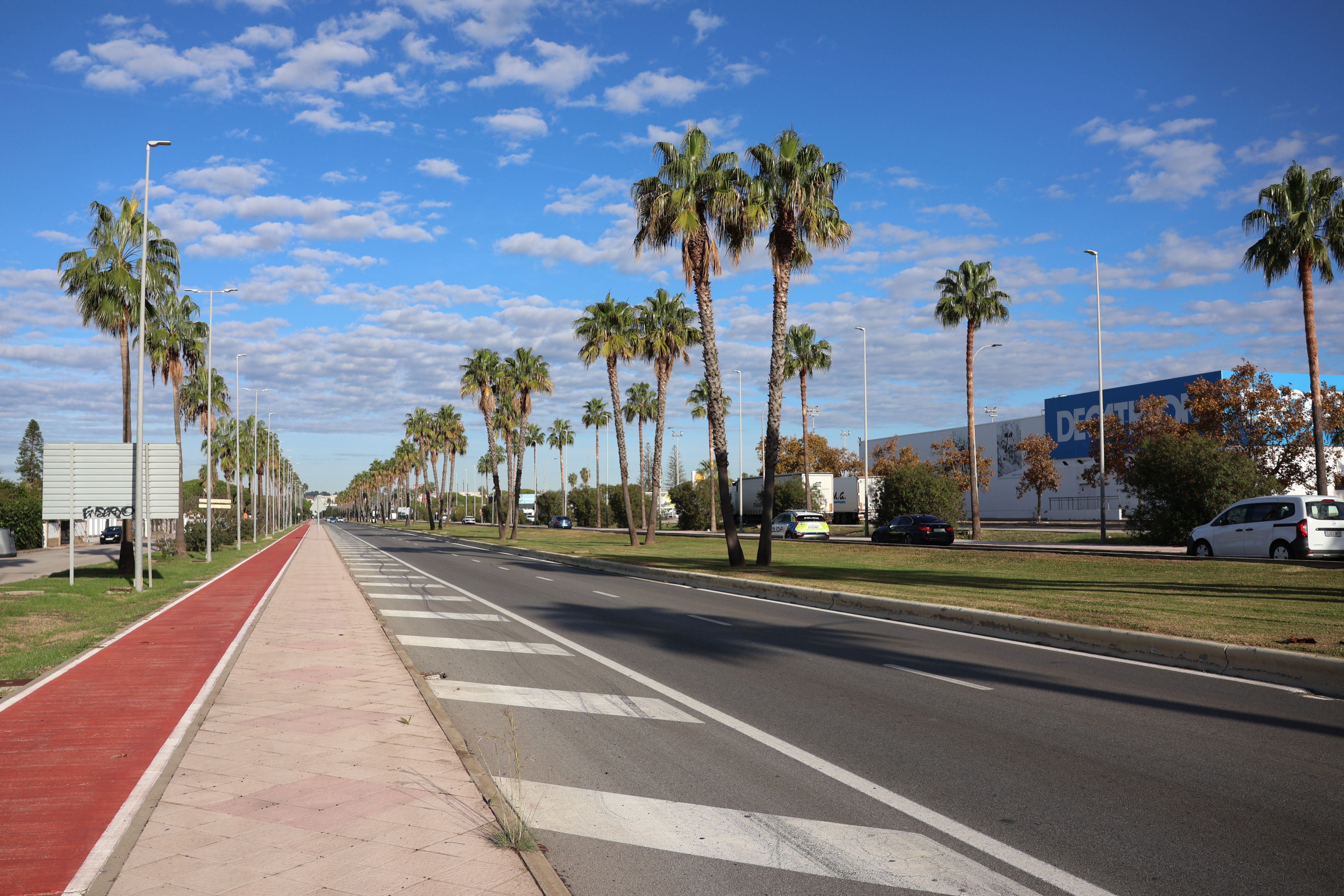 Sunny day on a palm tree lined street in El Puerto de Santa María, Andalucía, Spain, showcasing modern cityscape.