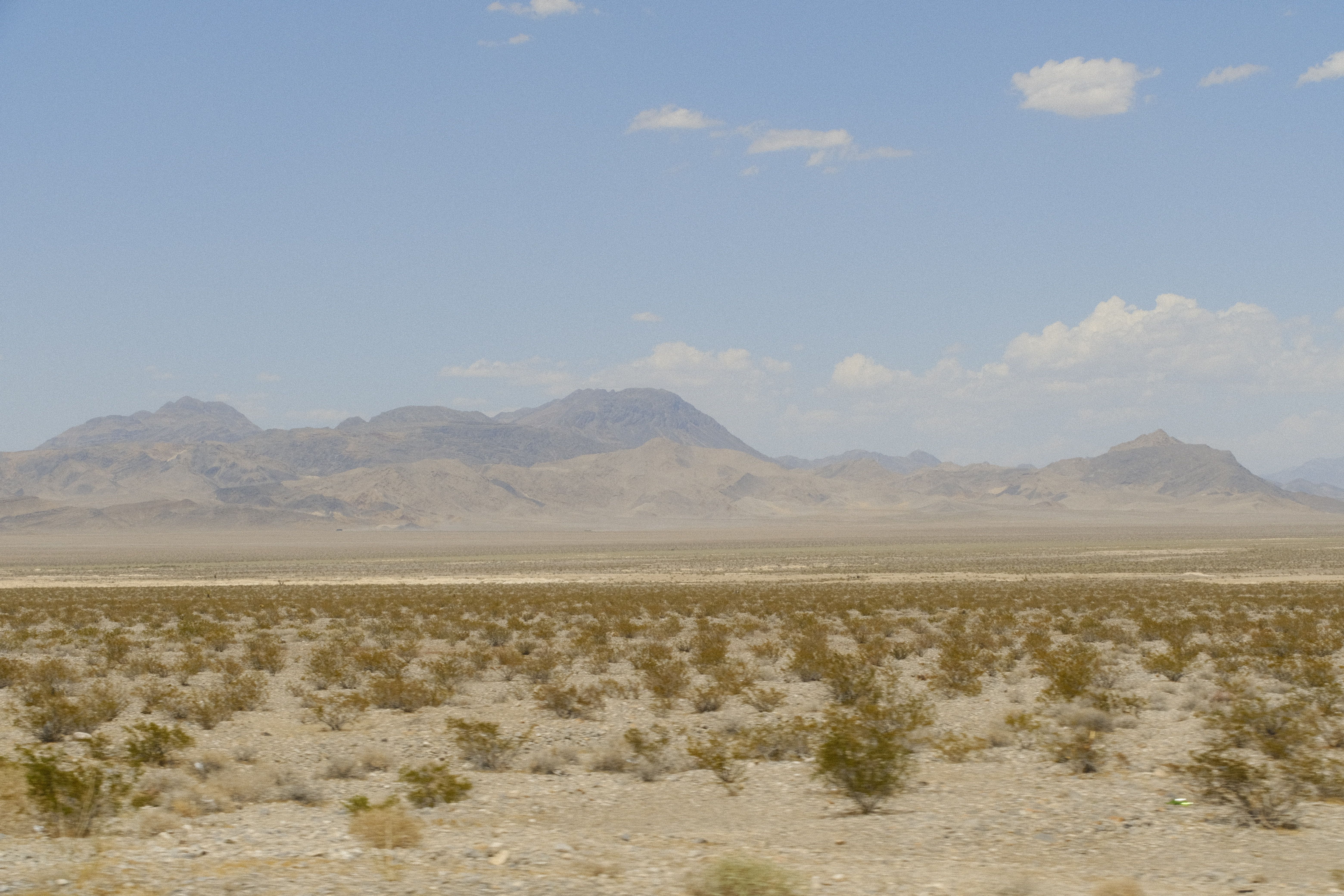 Henderson, NV Family Giveaways Near Me: Where to Find Legit Deals