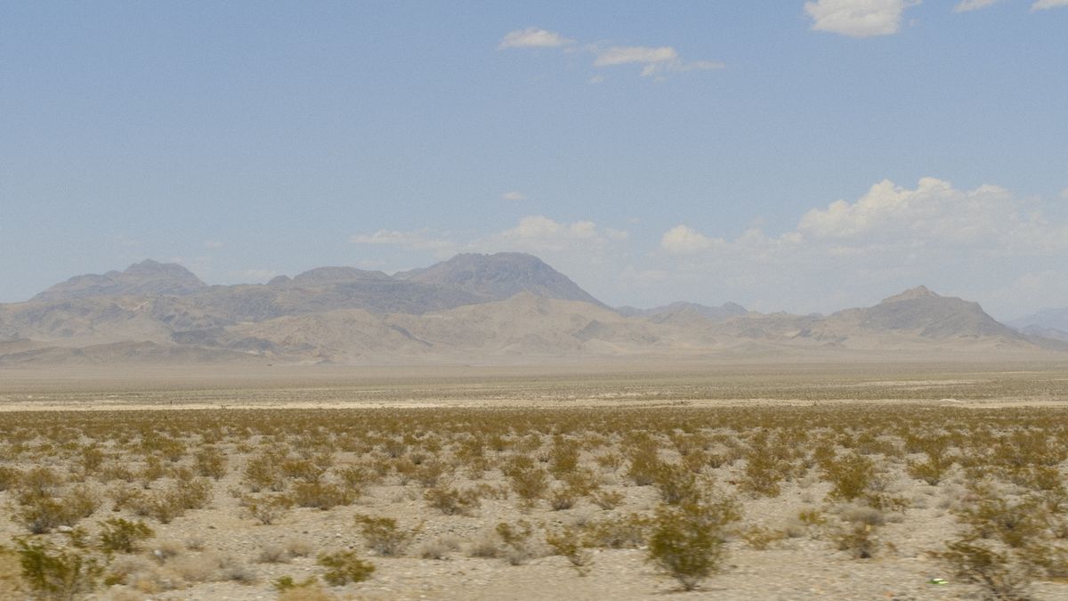 Henderson, NV Family Giveaways Near Me: Where to Find Legit Deals