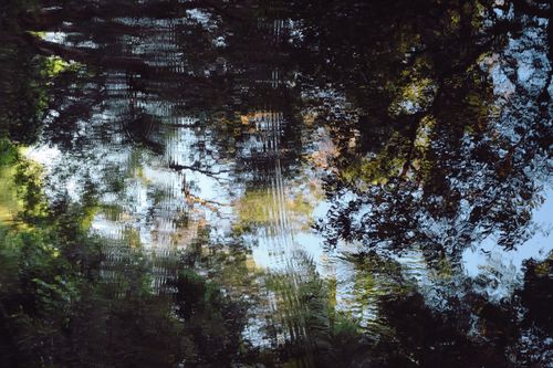 Free Serene water reflections featuring trees in Byron Bay, Australia. Stock Photo