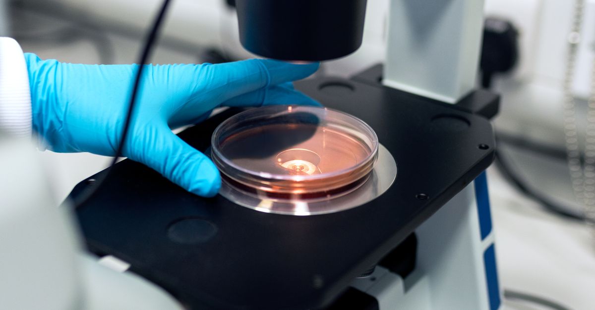 Petri Dish Meaning In Tamil With Example Petri Dish Meaning In Tamil With Example